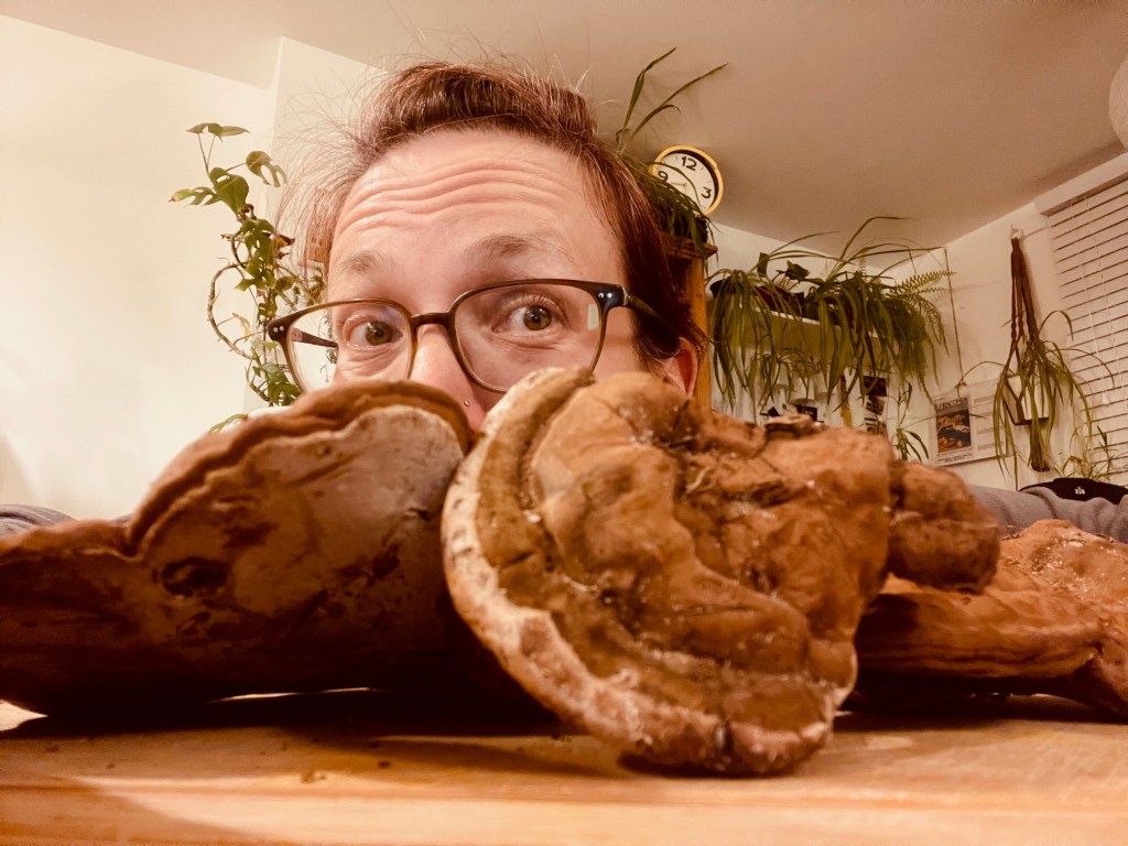 Fun(gi) while felling